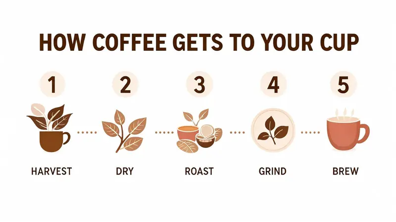 FLUX 3 Klein example: How coffee gets to your cup, in five steps