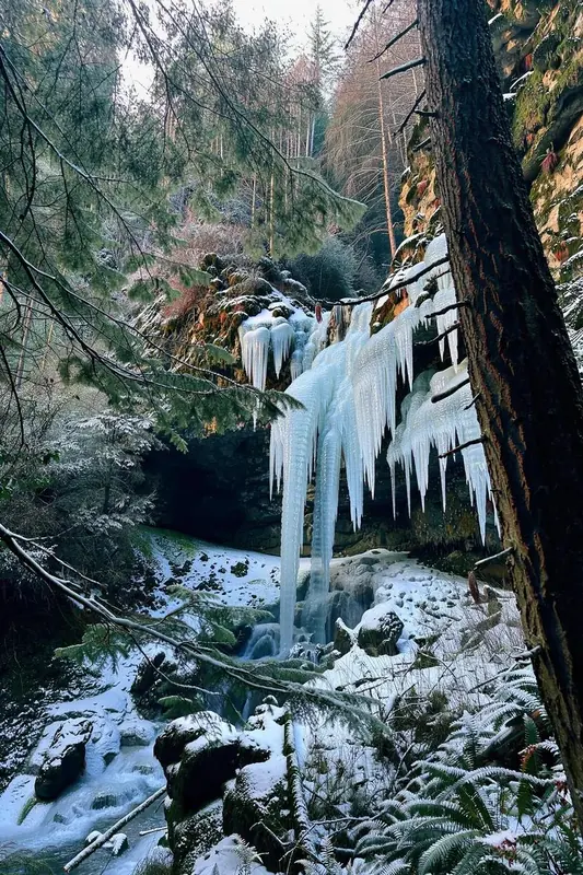 FLUX 3 Klein example: A waterfall in a forest (edit)
